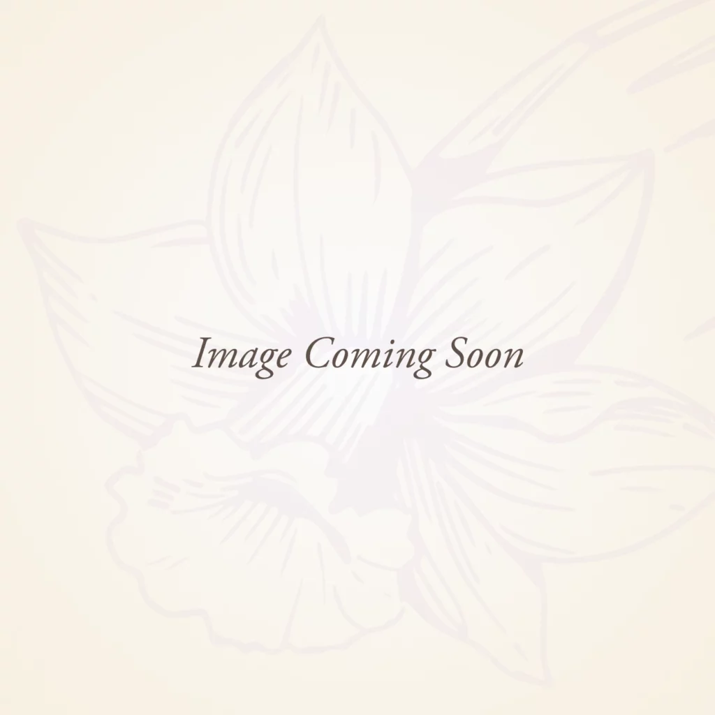 STEMS Image Coming Soon Graphic