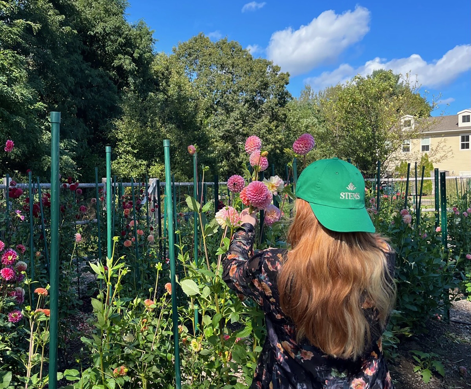 Cassie wearing a green STEMS hat